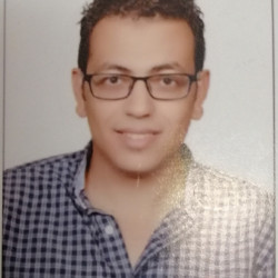 احمد عفيفي